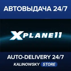 X-Plane 11 · WORLDWIDE