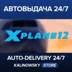 X-Plane 12 · WORLDWIDE