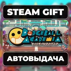 Dodgeball Academia МИР АВТО