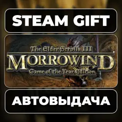 The Elder Scrolls III: Morrowind Game of the Year Edition Steam • RU + WORLD