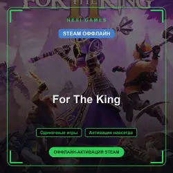 For The King — STEAM OFFLINE account | Single-player
