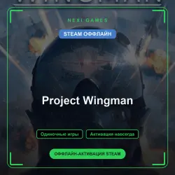 Project Wingman — STEAM ОФФЛАЙН аккаунт | Одиночная игра