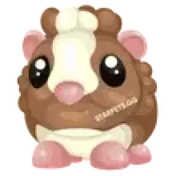 Chocolate Dutch Guinea Pig | Adopt Me! — Roblox, лот №215204