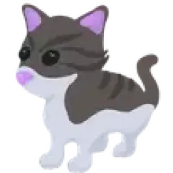 Persian Cat | Adopt Me!