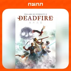 Pillars of Eternity II: Deadfire - Standard Edition | STEAM GIFT | UA