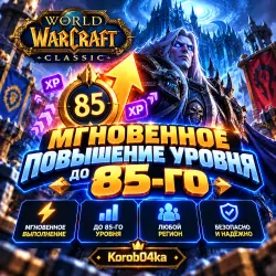 Wow Classic Мгновенное Повышение уровня до 85-го | Korob04ka — World of Warcraft, лот №261691