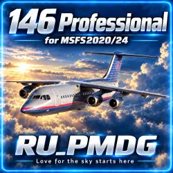 146 Professional for MSFS2020/24