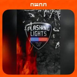 Flashing Lights | STEAM GIFT | RU