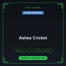 Ashes Cricket — STEAM OFFLINE account | Single-player