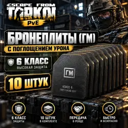 [PvE] GM Armor Plates [10] pcs. | Armor Class 6 | Damage Absorption | Delivery via Raid