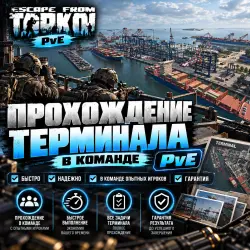 [PvE] Terminal Raid | Ticket | First-Try Completion | [Acc Sharing]
