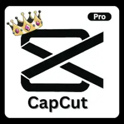 Capcut pro 1 month work in phone only