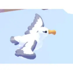 Albatross F | ADM | Adopt Me — Roblox, лот №215290