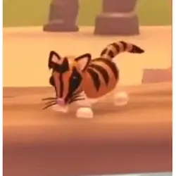 Banded Palm Civet N | ADM | Adopt Me — Roblox, лот №215395