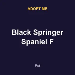 Black Springer Spaniel F | ADM | Adopt Me — Roblox, лот №215479