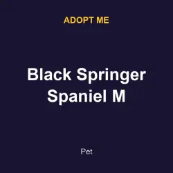 Black Springer Spaniel M | ADM | Adopt Me — Roblox, лот №215480