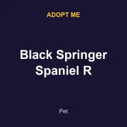 Black Springer Spaniel R | ADM | Adopt Me — Roblox, лот №215481