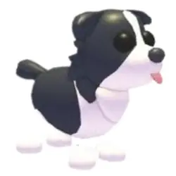 Border Collie F | ADM | Adopt Me — Roblox, лот №215516