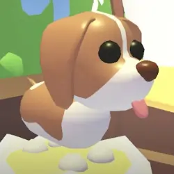 Brown Springer Spaniel R | ADM | Adopt Me — Roblox, лот №215529