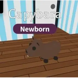 Capybara M | ADM | Adopt Me — Roblox, лот №215615