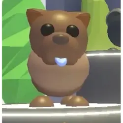 Chocolate Chow-Chow N | ADM | Adopt Me — Roblox, лот №215683
