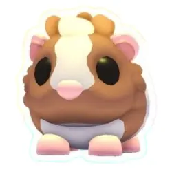 Chocolate Dutch Guinea Pig M | ADM | Adopt Me — Roblox, лот №215596