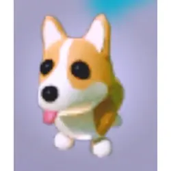 Corgi FR | ADM | Adopt Me — Roblox, лот №215700