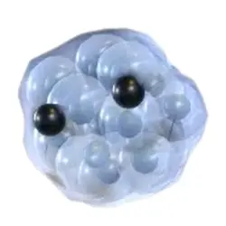 Frogspawn FR | ADM | Adopt Me — Roblox, лот №215960