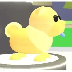 Golden Chow-Chow R | ADM | Adopt Me — Roblox, лот №216072