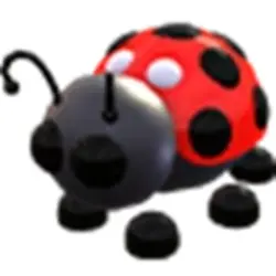 Ladybug FR | ADM | Adopt Me — Roblox, лот №216337