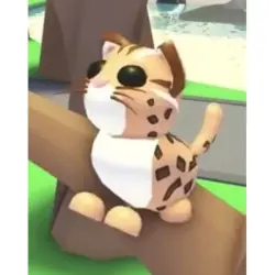 Leopard Cat N | ADM | Adopt Me — Roblox, лот №216354