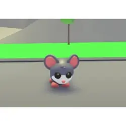 Mouse M | ADM | Adopt Me — Roblox, лот №216505