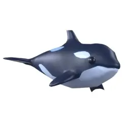 Orca MFR Pet | ADM | Adopt Me — Roblox, лот №216595