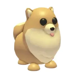 Pomeranian NFR | ADM | Adopt Me — Roblox, лот №217431