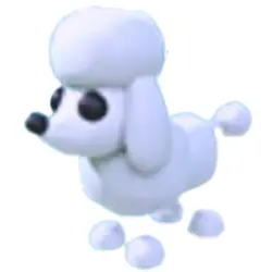 Poodle NFR | ADM | Adopt Me — Roblox, лот №217433