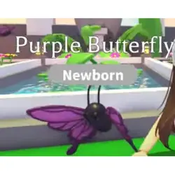 Purple Butterfly M | ADM | Adopt Me — Roblox, лот №216678