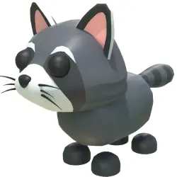 Raccoon N | ADM | Adopt Me — Roblox, лот №216704