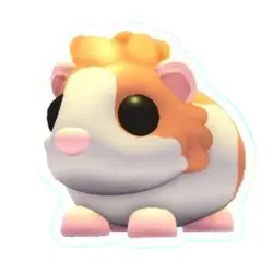 Red Dutch Guinea Pig NFR | ADM | Adopt Me — Roblox, лот №216747