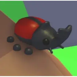 Rhino Beetle FR | ADM | Adopt Me — Roblox, лот №216752