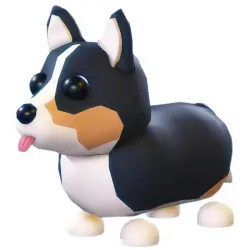Royal Corgi MFR | ADM | Adopt Me — Roblox, лот №216800