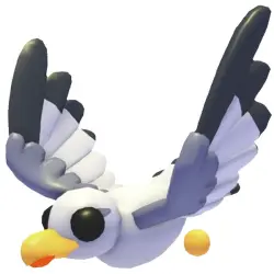 Seagull NFR | ADM | Adopt Me — Roblox, лот №216869