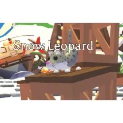 Snow Leopard FR | ADM | Adopt Me — Roblox, лот №216959