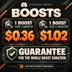 DISCORD SERVER BOOST (1/3 MONTHS)