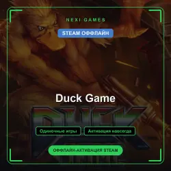 Duck Game — STEAM ОФФЛАЙН аккаунт | Одиночная игра