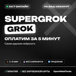 24/7 | SuperGrok | Payment to your account | 1 MONTH | Any region