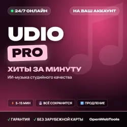 24/7 | Udio | Payment to your account | 1 MONTH | Any region