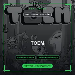 TOEM — EPIC GAMES OFFLINE account | Single-player