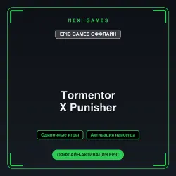 Tormentor X Punisher — EPIC GAMES OFFLINE account | Single-player