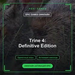 Trine 4: Definitive Edition — EPIC GAMES OFFLINE account | Single-player