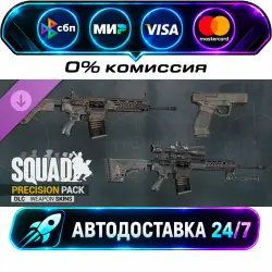 Squad Weapon Skins - Precision Strike Pack DLC STEAM RU + WORLD AUTO-DELIVERY 24/7